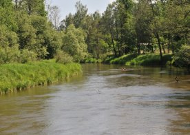 Gmina w obiektywie 23.05.2012r.