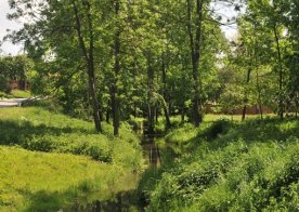 Gmina w obiektywie 23.05.2012r.
