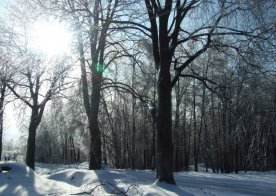28.01.2013 zimowe krajobrazy