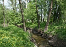 09.05.2013 Wiosenne Pejzaże
