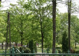 09.05.2013 Wiosenne Pejzaże