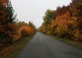Jesień 2013