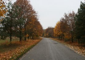 Jesień 2013
