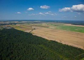 Okoliczne lasy obfitujace w jagody, poziomki i grzyby