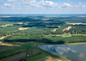 Okoliczne lasy obfitujace w jagody, poziomki i grzyby