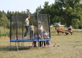 "Hipoterapia łączy"