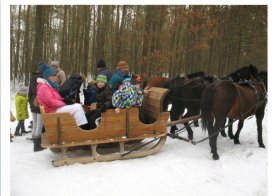 INFORMACJA O STANIE REALIZACJI ZADAŃ OSWIATOWYCH W GMINIE BISZCZA Rok szkolny 2016/2017