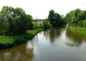 Rzeka Tanew.