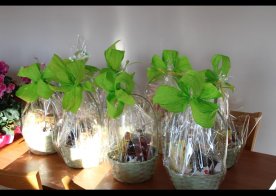 Jubileusz 50 – lecia pożycia małżeńskiego w gminie Biszcza